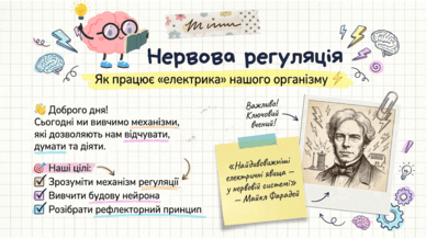 090204n7-3d99-388x218.png