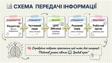090204na-8640-385x217.png