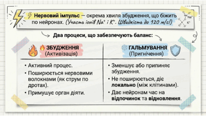 090204nb-a506-409x230.png