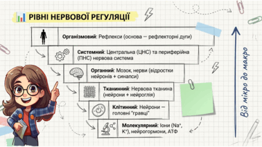 090204nd-2837-378x213.png