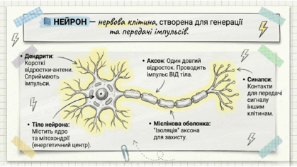 090204ng-8ef7-419x236.png