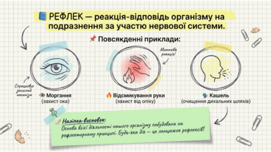 090204ni-30a2-386x217.png