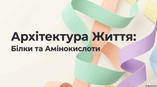 Амінокислоти. Білки