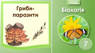 Гриби-паразити. Біологія 7 клас НУШ.