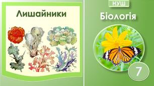 Лишайники. Біологія 7 клас НУШ.