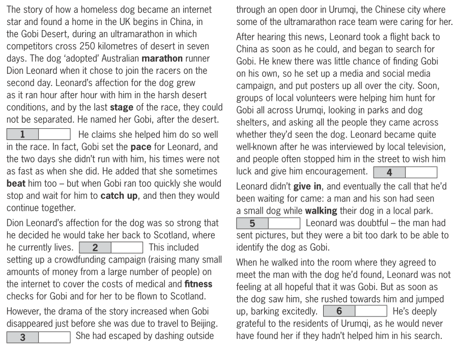 090205y1-eea3-898x682.png