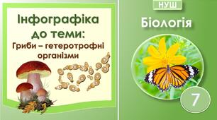 Інфографіка до теми "Гриби - гетеротрофні організми". Біологія 7 клас НУШ