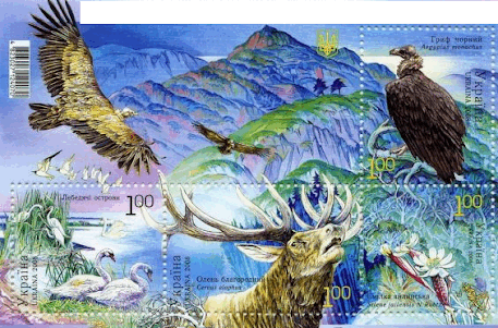 09020651-f2cc-457x301.png