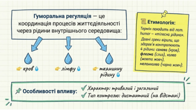 090209u2-c999-391x220.png