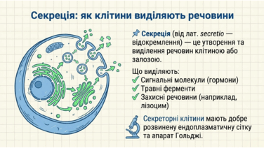 090209v8-690c-376x212.png