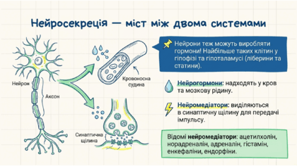 090209w3-b84f-420x236.png