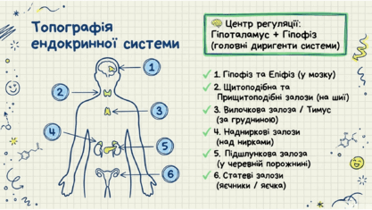 090209x6-2547-417x235.png