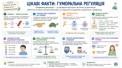 090209xr-ca00-404x227.png