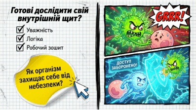 09020a5t-fdf7-397x223.png