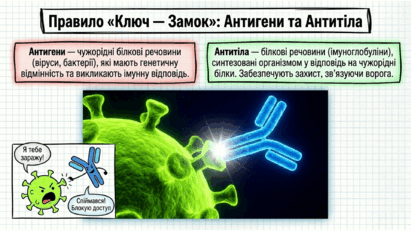 09020a7o-efe4-411x231.png