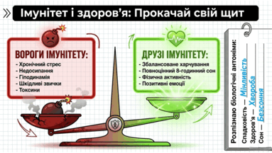 09020a95-14ac-383x216.png