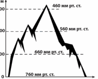 09020eol-8436-333x269.png