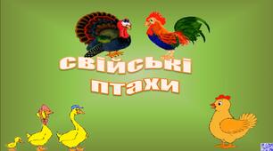 Свійські птахи (логоритміка)