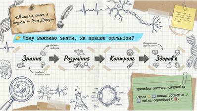 09020frm-b975-398x224.png