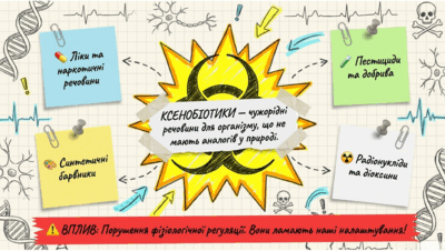 09020fsb-d7ab-400x226.png