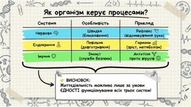 09020fsk-e2af-375x211.png
