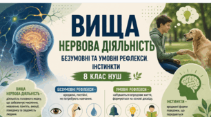 Матеріали до уроку.🧠 Вища нервова діяльність. Безумовні та умовні рефлекси. Інстинкти 8 кл НУШ Відеоподкаст, презентація, інфографіка