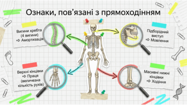 09020k5m-32ff-383x216.png