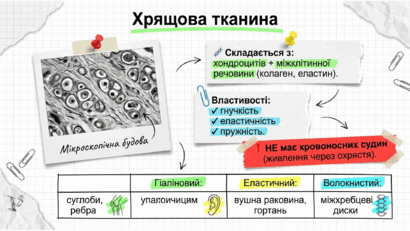 09020k5w-d05b-410x231.png