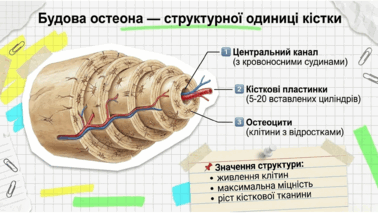 09020k66-6b01-378x213.png