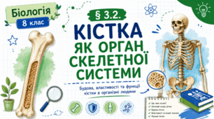 Кістка як орган скелетної системи.8 клас НУШ