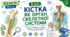 Кістка як орган скелетної системи.8 клас НУШ