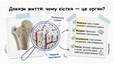 09020kbc-1a9d-400x225.png