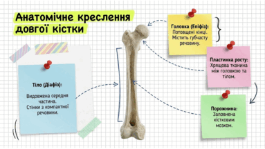 09020kbm-f6b7-383x216.png