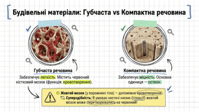 09020kby-4996-397x224.png