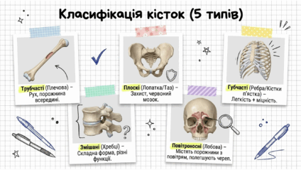 09020kcq-0d80-424x239.png