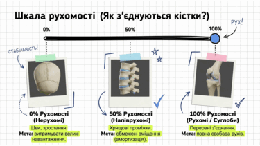 09020kd1-2b03-375x211.png
