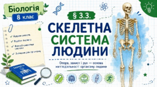 Скелетна система людини. 8 клас НУШ