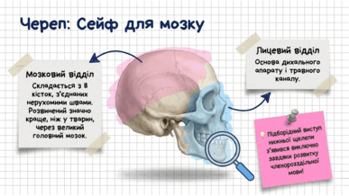 09020kzw-ec4f-387x218.png