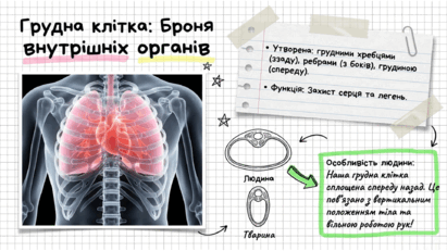 09020l11-75aa-411x231.png