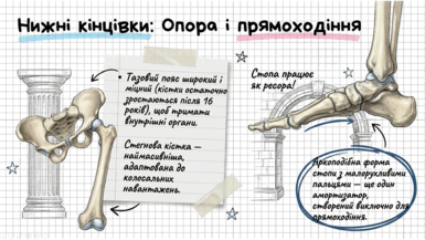 09020l1f-6377-385x217.png