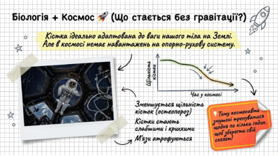 09020l1o-99cd-398x224.png