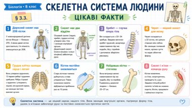09020l2a-aa3e-381x214.png