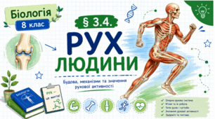 Рух людини. 8 клас НУШ
