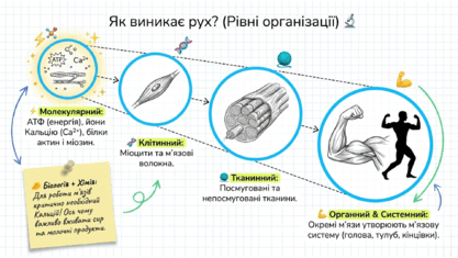 09020lgz-8d1c-417x235.png