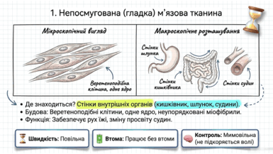 09020lh9-278e-385x217.png