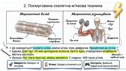 09020lhd-041d-423x238.png