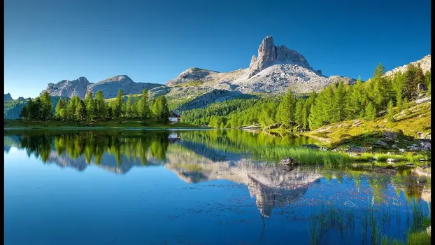 09020lk7-8395-622x350.webp