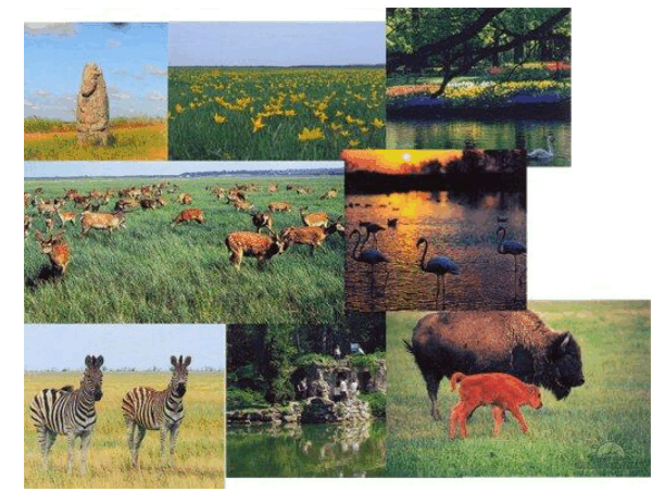 09020lts-c0d2-612x464.png