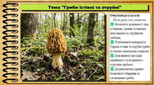 Гриби їстівні та отруйні. Біологія. 7 клас. До підручника Андерсон О. А., Вихренко М. А., Чернінський А. О. та ін.