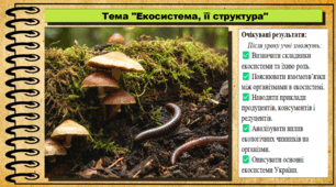 Екосистема, її структура. Біологія. 7 клас. До підручника Андерсон О. А., Вихренко М. А., Чернінський А. О. та ін.